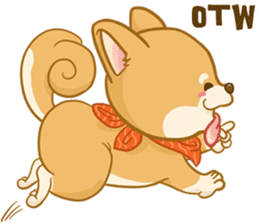 Shiba Inu Mocca sticker #13660879