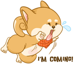 Shiba Inu Mocca sticker #13660880