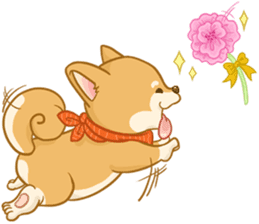 Shiba Inu Mocca sticker #13660885