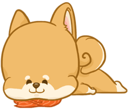 Shiba Inu Mocca sticker #13660886