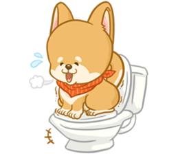 Shiba Inu Mocca sticker #13660889