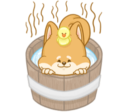 Shiba Inu Mocca sticker #13660893