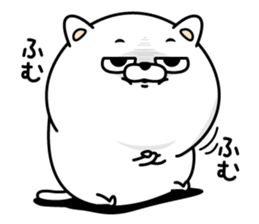 Cat eyes are not laughing sticker #13661819