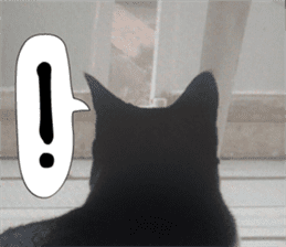 sticker japan cat&gin3 Tennis version4 sticker #13661994