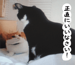 sticker japan cat&gin3 Tennis version4 sticker #13661998