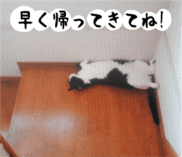 sticker japan cat&gin3 Tennis version4 sticker #13662007