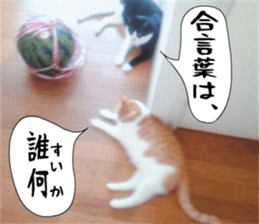 sticker japan cat&gin3 Tennis version4 sticker #13662016