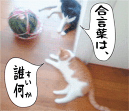 sticker japan cat&gin3 Tennis version4 sticker #13662016