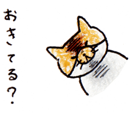 Everyday cat 1 <Chestnut> sticker #13663072