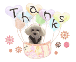 toy poodle "LUNLUN"-movie- English 2 sticker #13664520