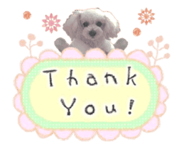 toy poodle "LUNLUN"-movie- English 2 sticker #13664528