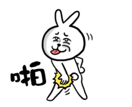 crazy cool rabbit sticker #13666334