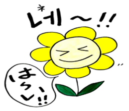 Korean-Japanese sunflower "tommy"~friend sticker #13667114