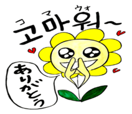Korean-Japanese sunflower "tommy"~friend sticker #13667117