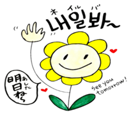 Korean-Japanese sunflower "tommy"~friend sticker #13667140
