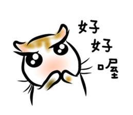 Talking My Cat sticker #13667614