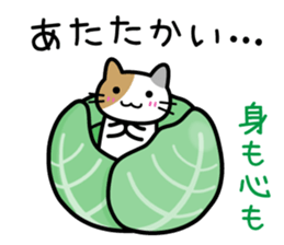 Vegetables cat sticker #13667696