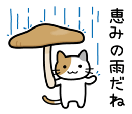 Vegetables cat sticker #13667710