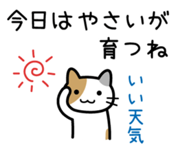 Vegetables cat sticker #13667711