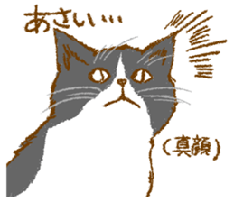 Sticker for Mr. and Ms. ASAI sticker #13667786