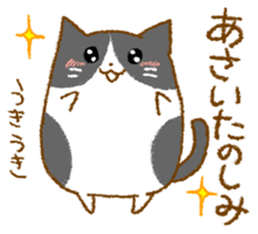 Sticker for Mr. and Ms. ASAI sticker #13667805