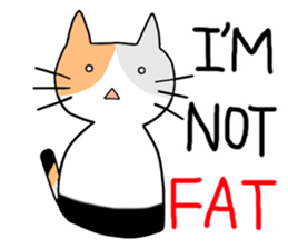 NyanNiChi sticker #13668037