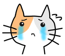 NyanNiChi sticker #13668047