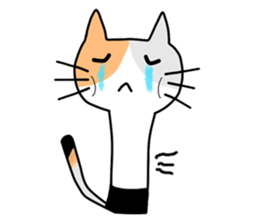 NyanNiChi sticker #13668051