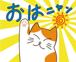 Two paws up! Chaemon the Cat! sticker #13668384