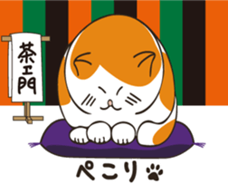 Two paws up! Chaemon the Cat! sticker #13668391