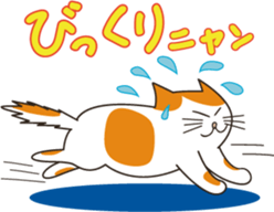 Two paws up! Chaemon the Cat! sticker #13668404