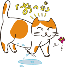 Two paws up! Chaemon the Cat! sticker #13668409