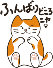Two paws up! Chaemon the Cat! sticker #13668414