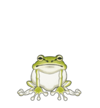 The tree frog sticker sticker #13669358