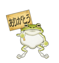 The tree frog sticker sticker #13669366