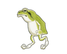 The tree frog sticker sticker #13669368