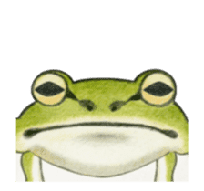 The tree frog sticker sticker #13669369
