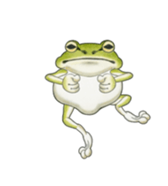 The tree frog sticker sticker #13669373