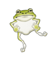 The tree frog sticker sticker #13669380