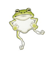 The tree frog sticker sticker #13669380