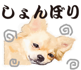 chihuahua no Ginsan sticker #13669462