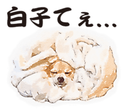 chihuahua no Ginsan sticker #13669463
