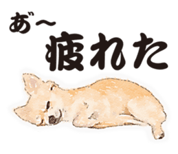 chihuahua no Ginsan sticker #13669467