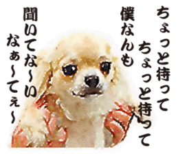 chihuahua no Ginsan sticker #13669473