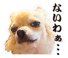chihuahua no Ginsan sticker #13669476