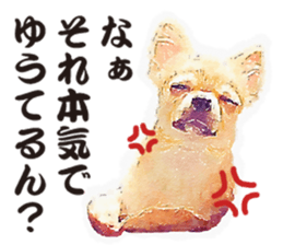 chihuahua no Ginsan sticker #13669477