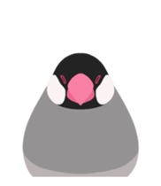 Animated Bird Sticker - tori no iro sticker #13670698