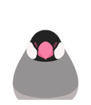 Animated Bird Sticker - tori no iro sticker #13670698