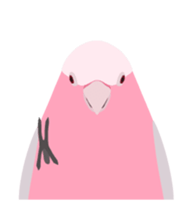 Animated Bird Sticker - tori no iro sticker #13670700