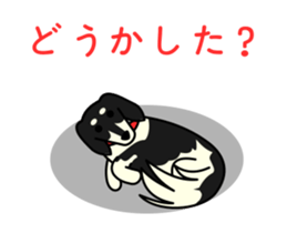 DOG FRIENDS -The Animation- sticker #13670988